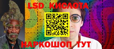 молекула духа Будённовск