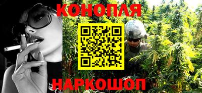 молекула духа Будённовск