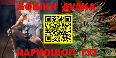 молекула духа Будённовск